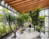 Biophilic Design | Tag | ArchDaily